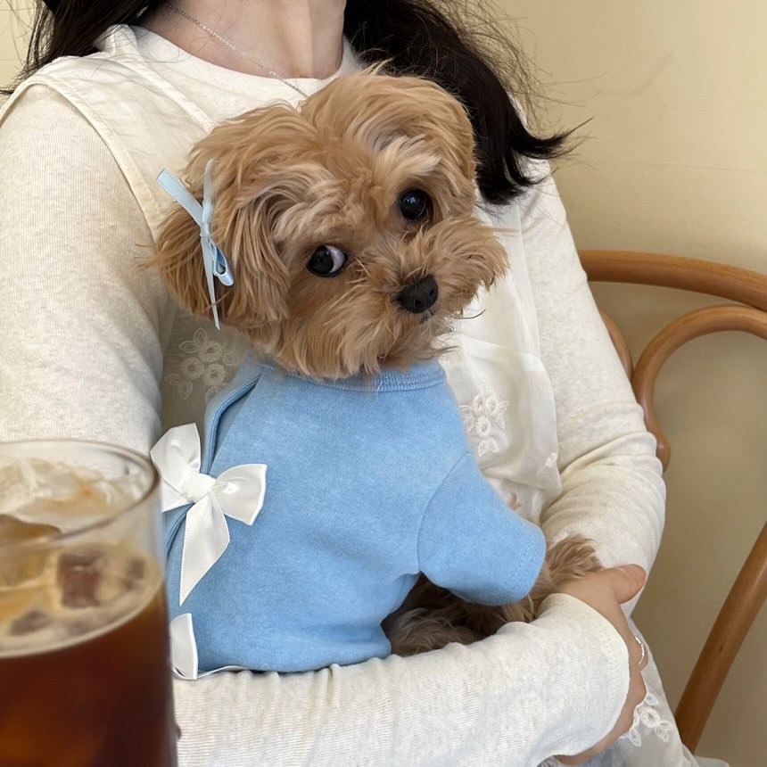 Camicia invernale con fondo ba - Winter Clothing For Dogs recensione e prezzo