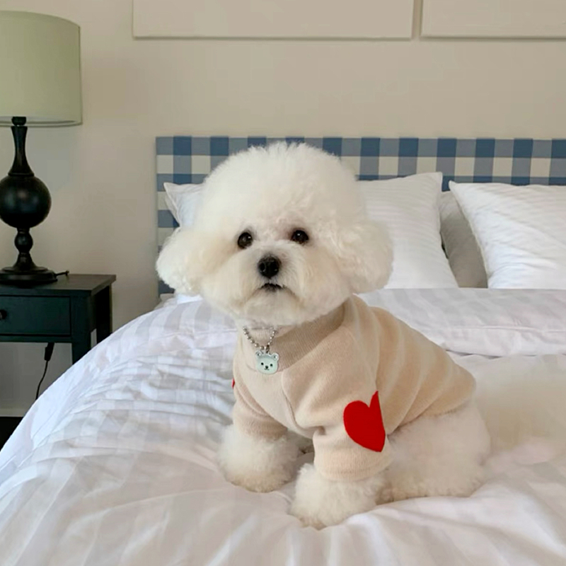 Dog Love Bottom Shirt Warm Pet - Winter Clothing For Dogs recensione e prezzo