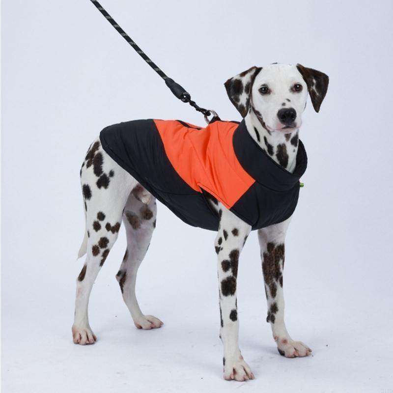 Freddo freddo per animali dome - Winter Clothing For Dogs recensione e prezzo