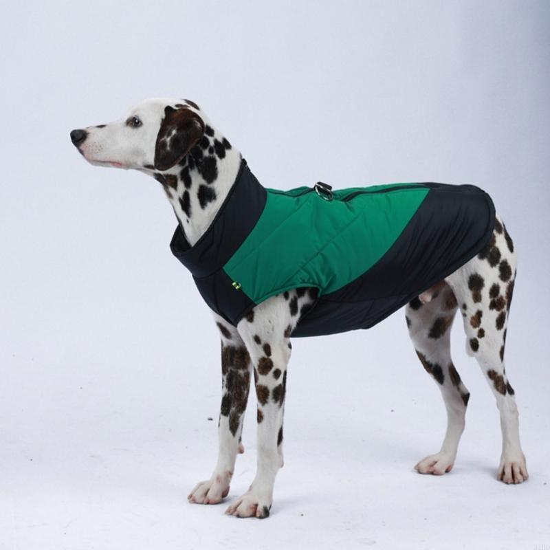 Freddo freddo per animali dome - Winter Clothing For Dogs recensione e prezzo
