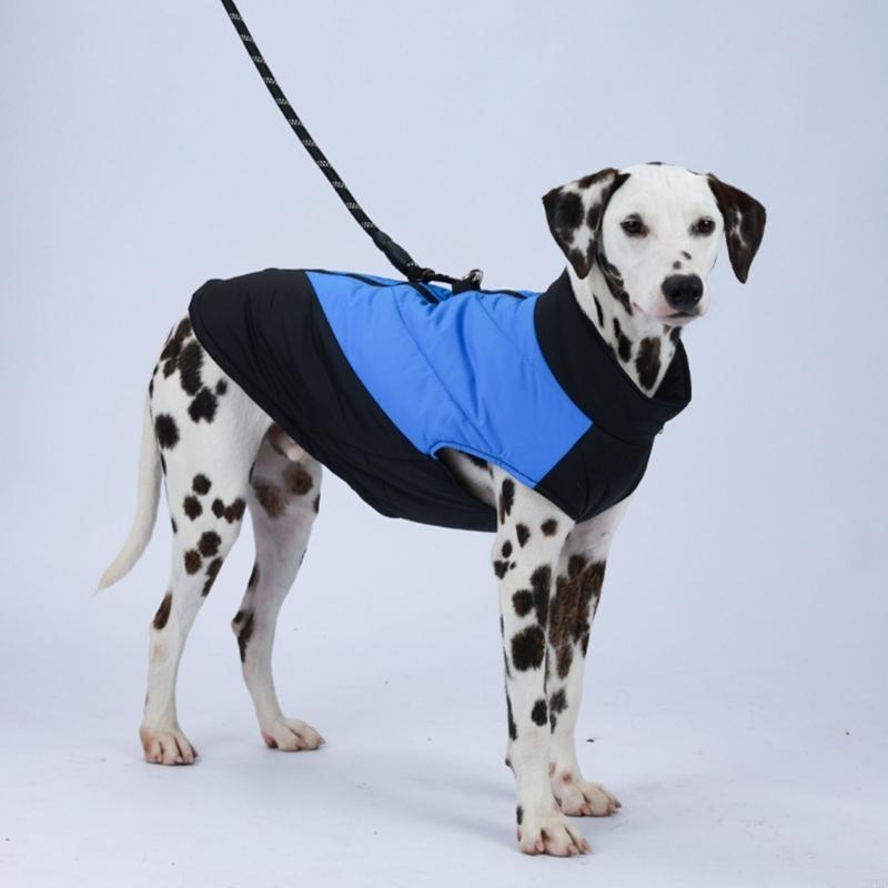 Freddo freddo per animali dome - Winter Clothing For Dogs recensione e prezzo