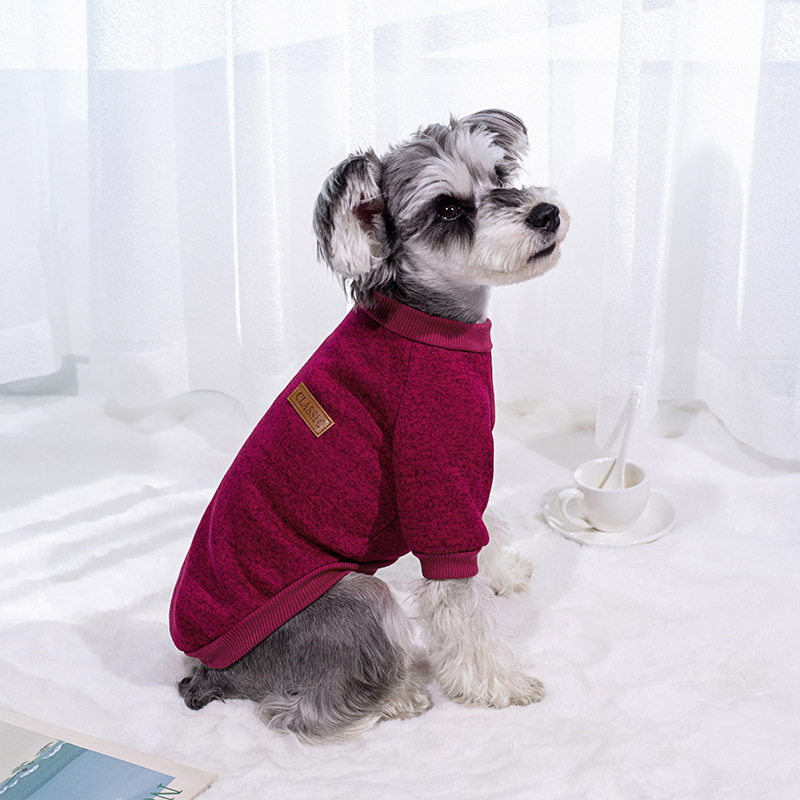 Abbigliamento Invernale per Ca - Winter Clothing For Dogs recensione e prezzo