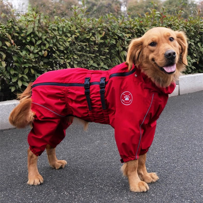 2025 Giacca da esterno per can - Winter Clothing For Dogs recensione e prezzo